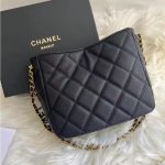 Chanel Hobo bag - Image 4