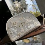 Dior Mesh Butterfly pouch