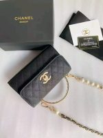 Pearl Handle Clutch Pearl Chain - Image 8